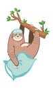 Cute smiling sloth hanging on a tree. Sloth in a sleep mask with the inscription relax.